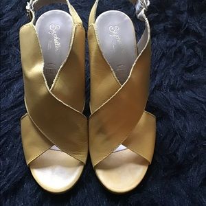 Seychelles treasure hunt